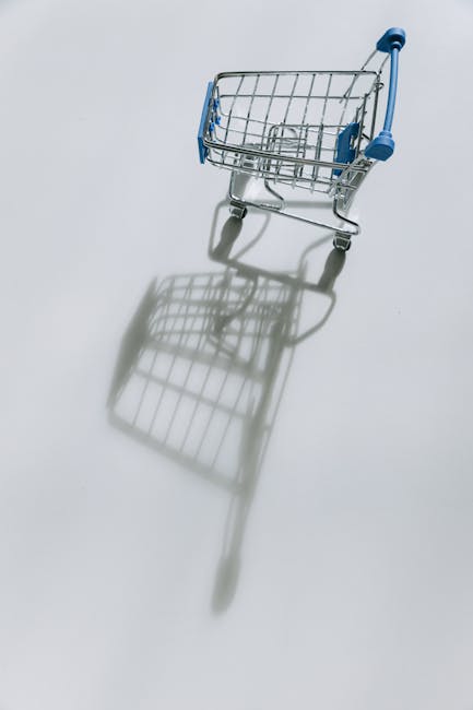 Start Your Online Empire: A Beginner's Guide